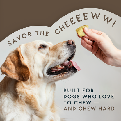 Elkwood 100% Buffalo Natural Ear Dog Treat | 6-pack