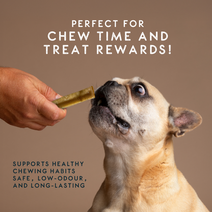 Elkwood Himalayan Original Cheese Dog Chew – Small