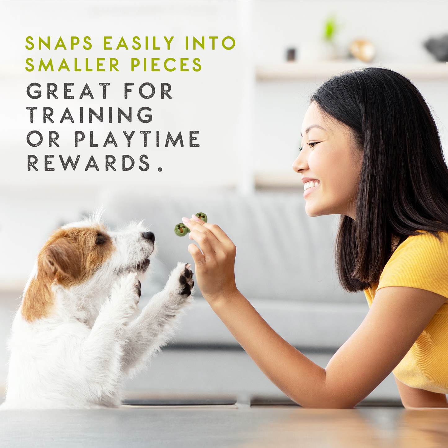 Elkwood Rattlesnaps Broccoli & Apple Dental Chew with Chicken | 4-Pack