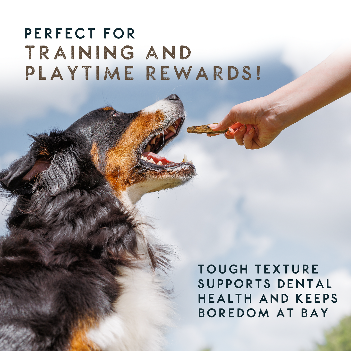 Elkwood 100% Buffalo Natural Tail Dog Treat | 200g