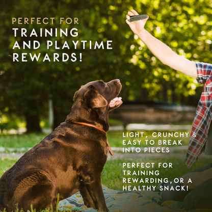 Elkwood Sponge Dental Stick | 7-Pack