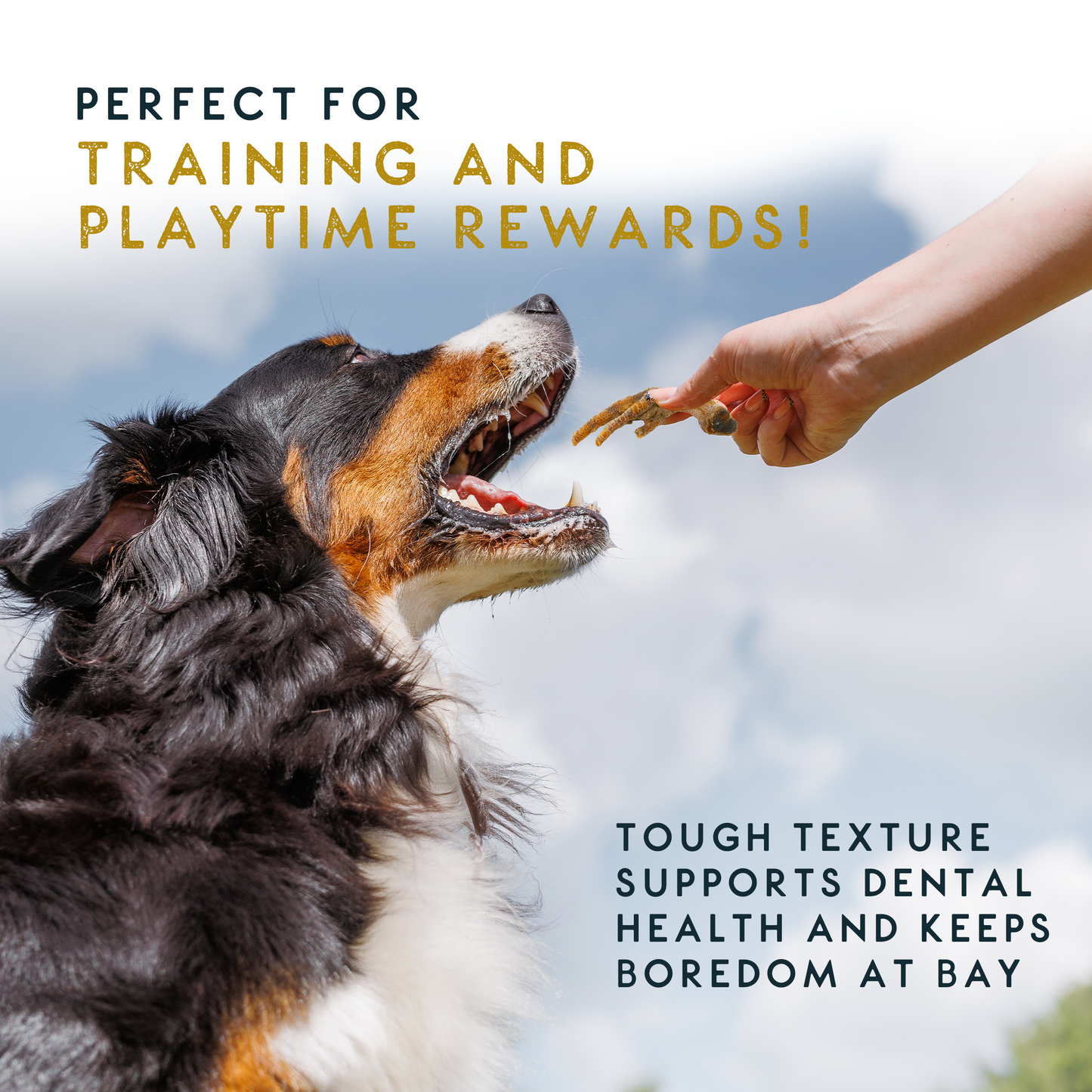 Elkwood 100% Chicken Feet Dog Treat | 160g