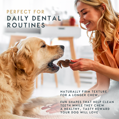 Elkwood Seaweed & Vegetable Dental Dog Chews | Large 10-Pack