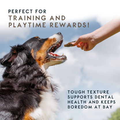 Elkwood 100% Buffalo Natural Jerky Dog Treat | 400g