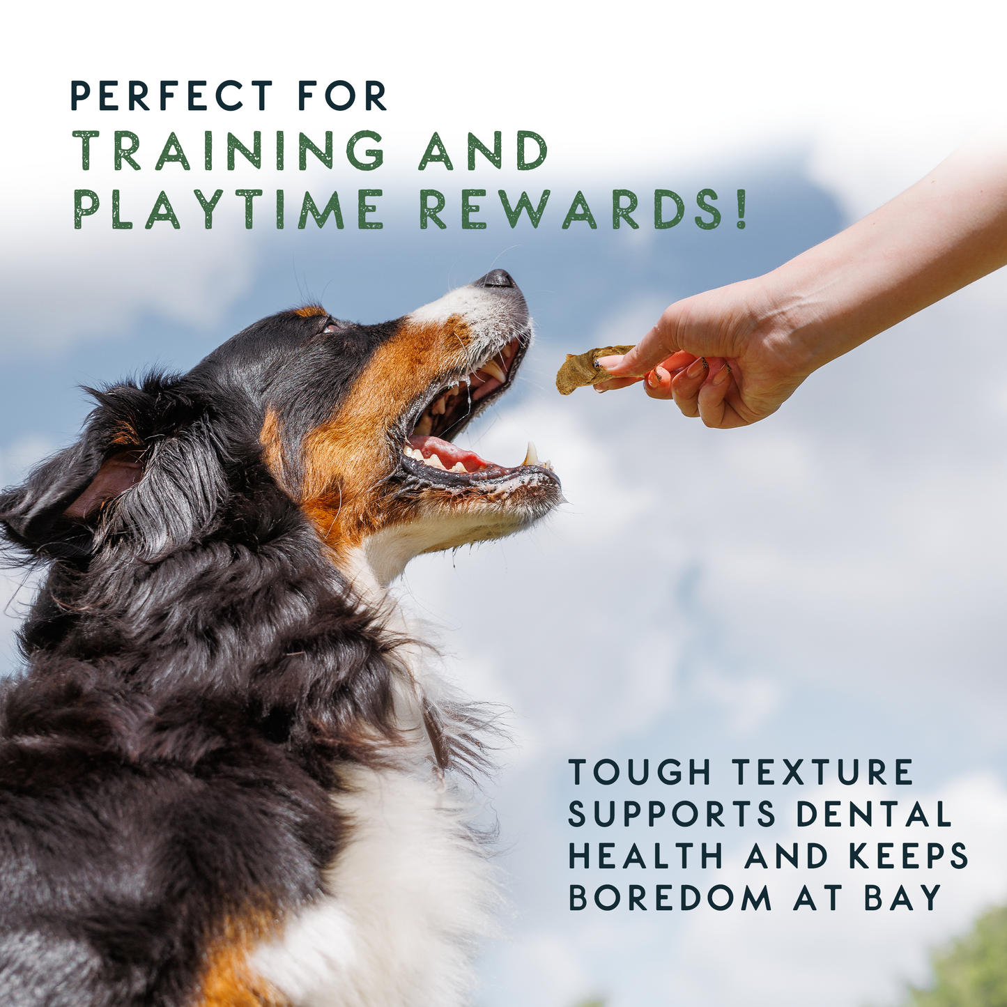 Elkwood 100% Lamb Tripe Sticks Dog Treat | 200g