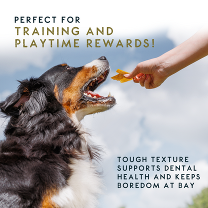 Elkwood 100% Buffalo Paddywack Dog Chew | 220g