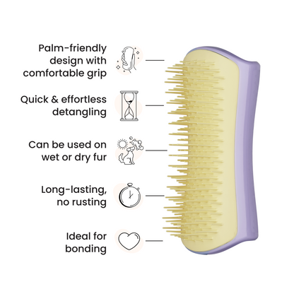 Pet Teezer Detangling Dog Grooming Brush Lilac Small