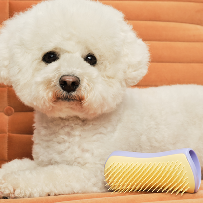 Pet Teezer Detangling Dog Grooming Brush Lilac Small