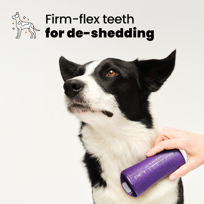Pet Teezer De-Shedding Dog Brush Purple Large
