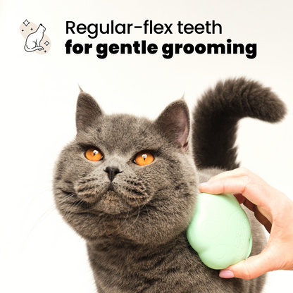 Pet Teezer Detangling Cat Grooming Brush Green