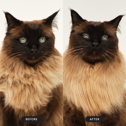 Pet Teezer Detangling Cat Grooming Brush Green