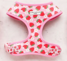 Cocopup Pupberry Fields Harness