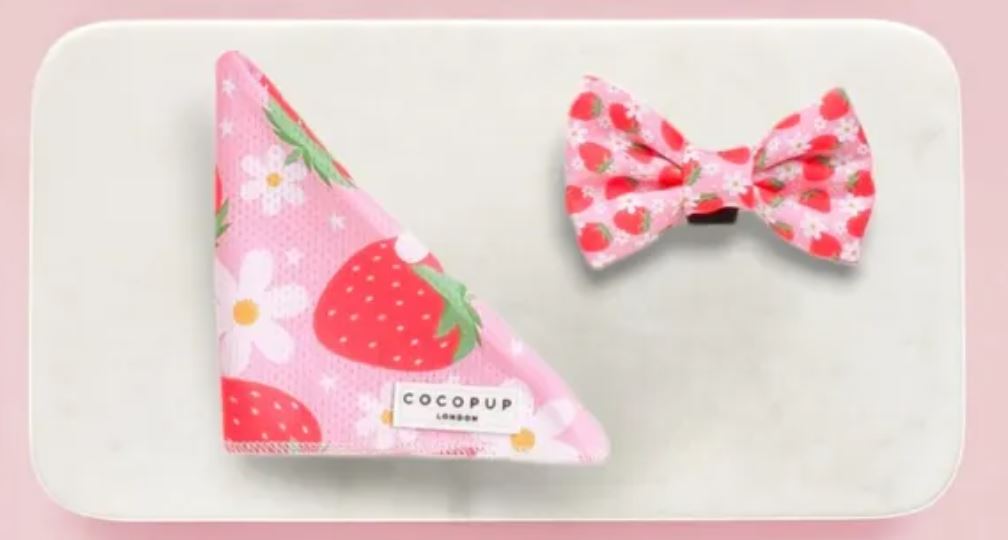 Cocopup Pupberry Fields Bandana and Bow Tie