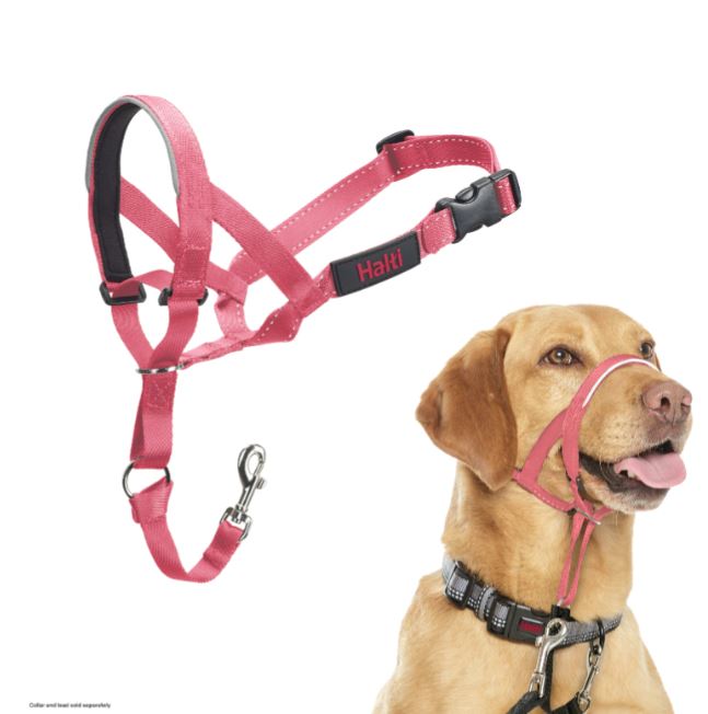 Halti Train Headcollar Pink