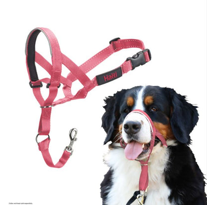 Halti Train Headcollar Pink