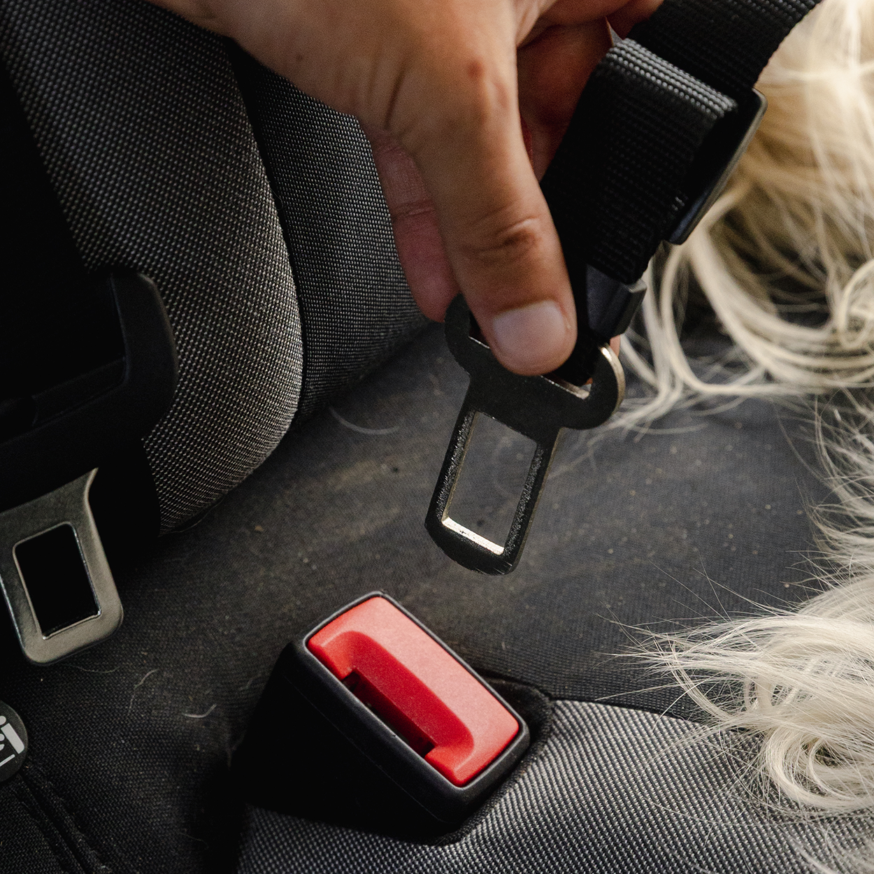 Rac In-car Seatbelt Connector Strap Harness