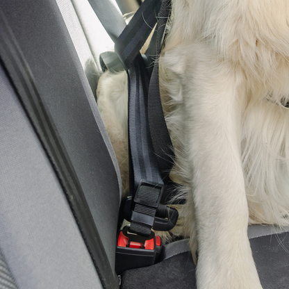 Rac In-car Seatbelt Connector Strap Harness