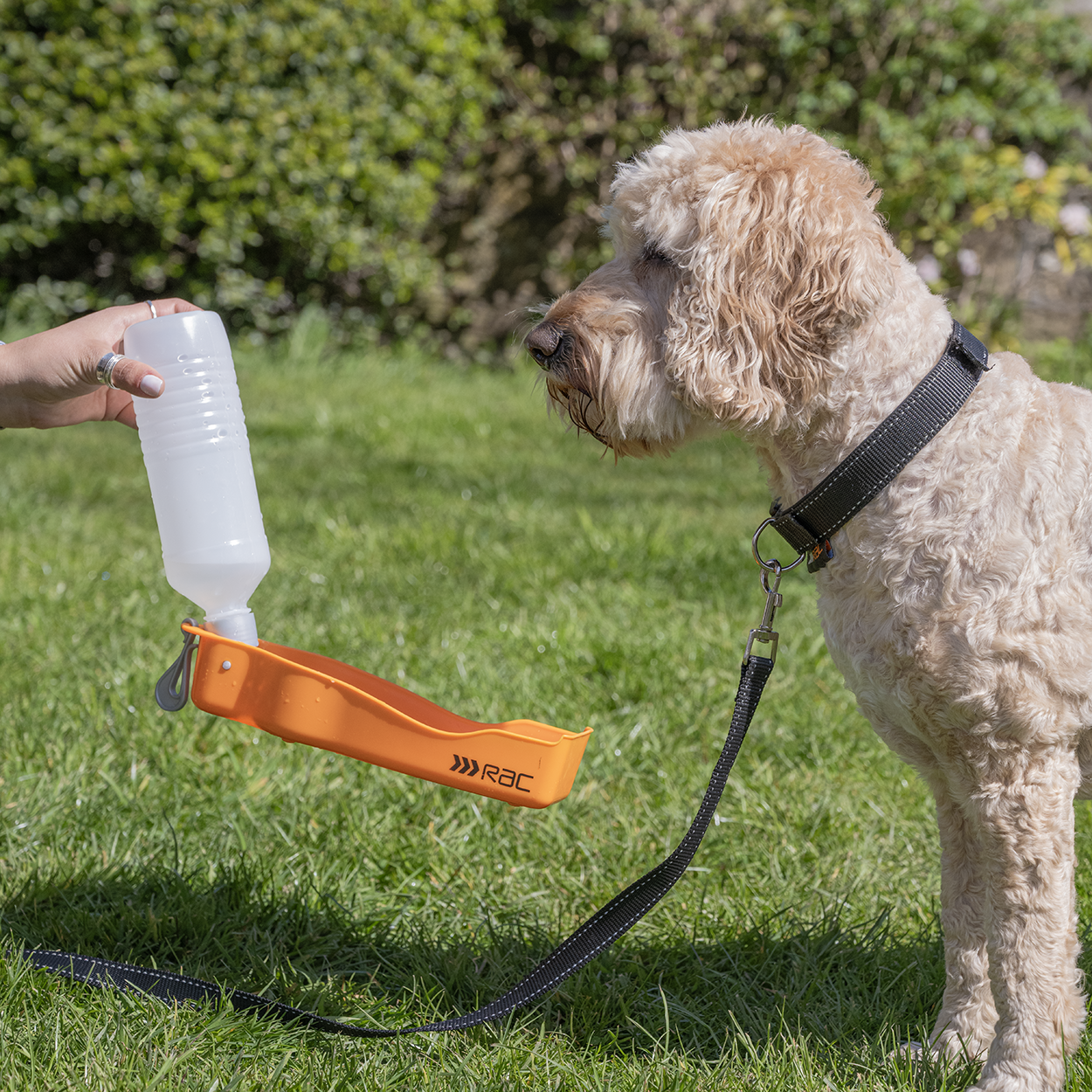 Rac Travel Plastic Dog Water Bottle