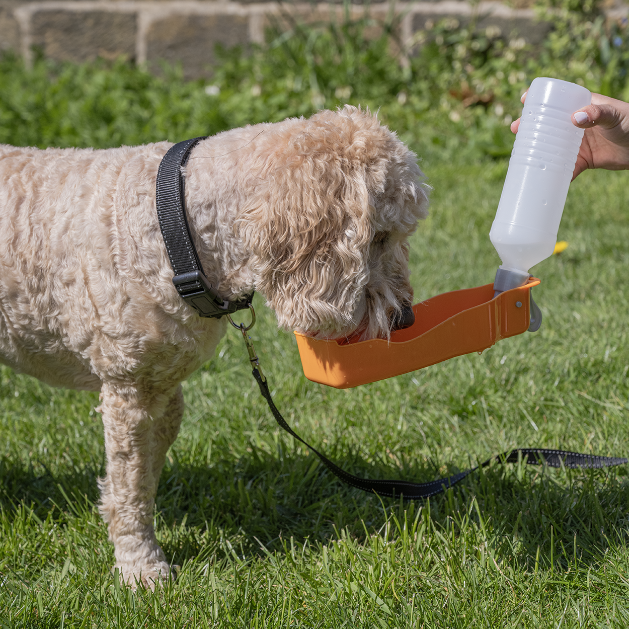 Rac Travel Plastic Dog Water Bottle