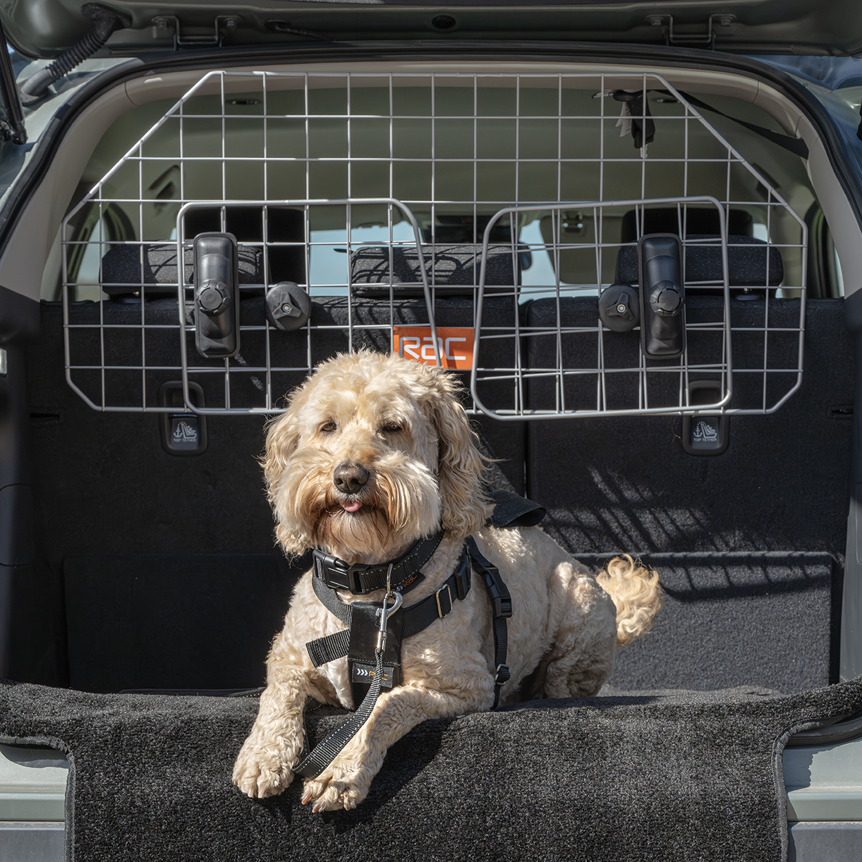 Rac Advanced Mesh Steel Dog Guard Headrest