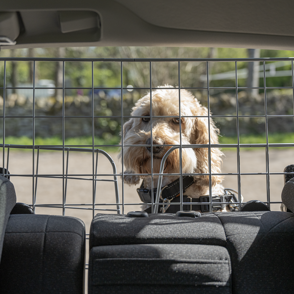 Rac Advanced Mesh Steel Dog Guard Headrest