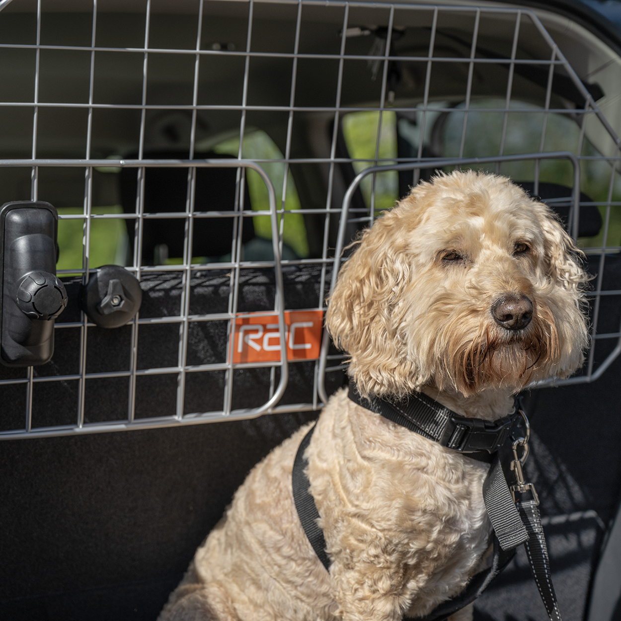 Rac Advanced Mesh Steel Dog Guard Headrest