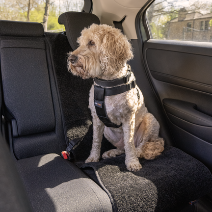 RAC Advanced Car Seat Cover