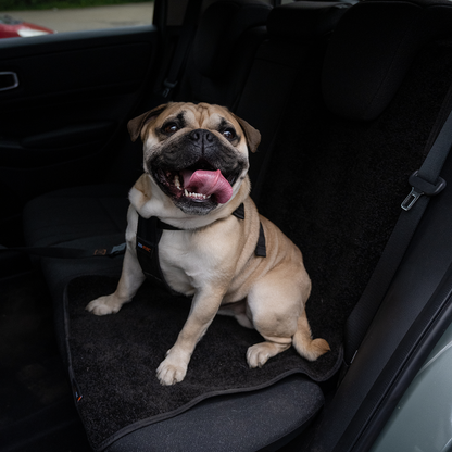 RAC Advanced Car Seat Cover