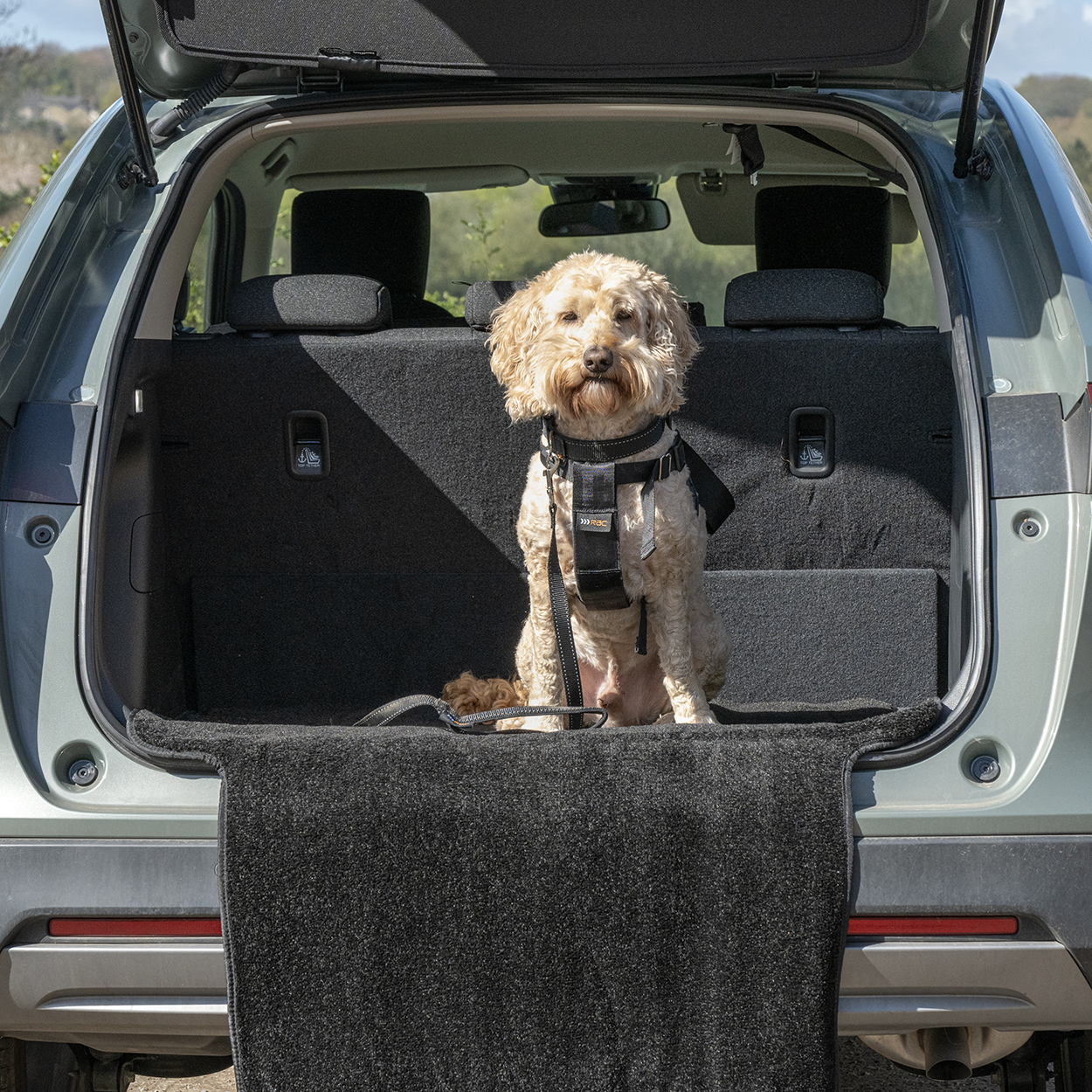 Rac Advanced Bumper Protector Nylon Dog Boot Bed