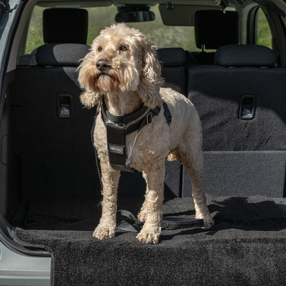 Rac Advanced Bumper Protector Nylon Dog Boot Bed