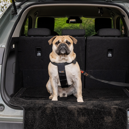 Rac Advanced Bumper Protector Nylon Dog Boot Bed