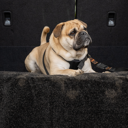 Rac Advanced Bumper Protector Nylon Dog Boot Bed