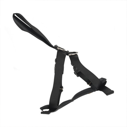 Rac 2 in 1 Max Chest Pet Car Harness