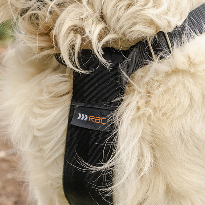 Rac 2 in 1 Max Chest Pet Car Harness