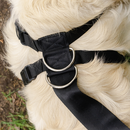 Rac 2 in 1 Max Chest Pet Car Harness