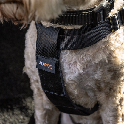 Rac 2 in 1 Max Chest Pet Car Harness