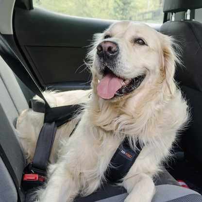 Rac 2 in 1 Max Chest Pet Car Harness