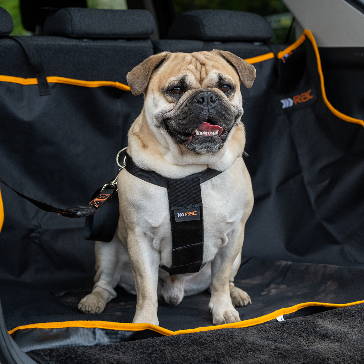 Rac 2 in 1 Max Chest Pet Car Harness