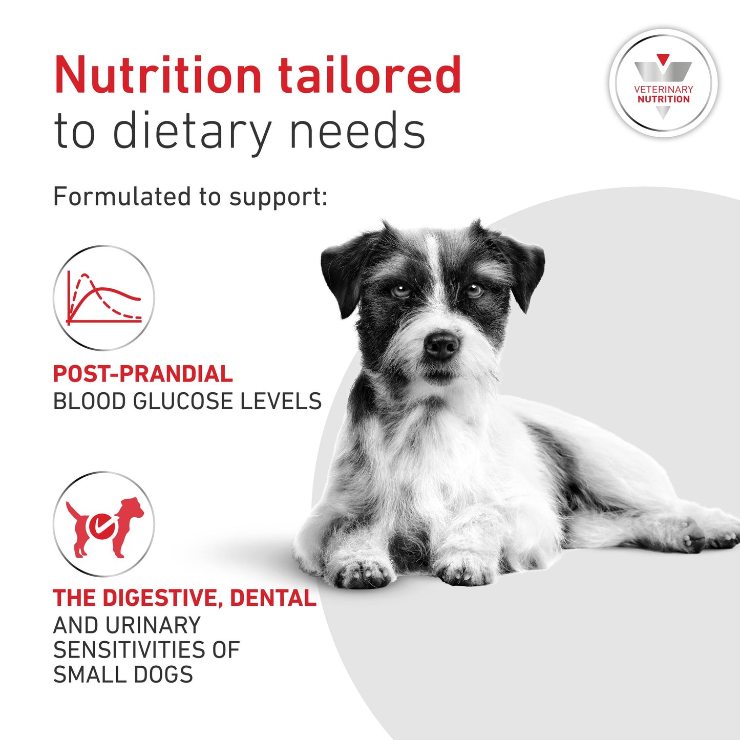 Royal Canin Glycobalance Small Dog Adult Dry Dog Food
