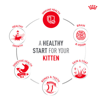 Royal Canin Sensory Kitten Multipack Chunks In Gravy