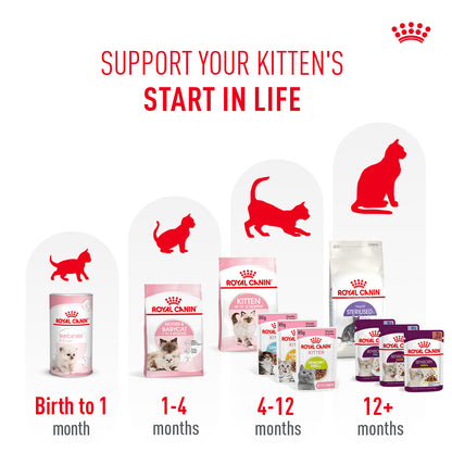 Royal Canin Sensory Kitten Multipack Chunks In Gravy