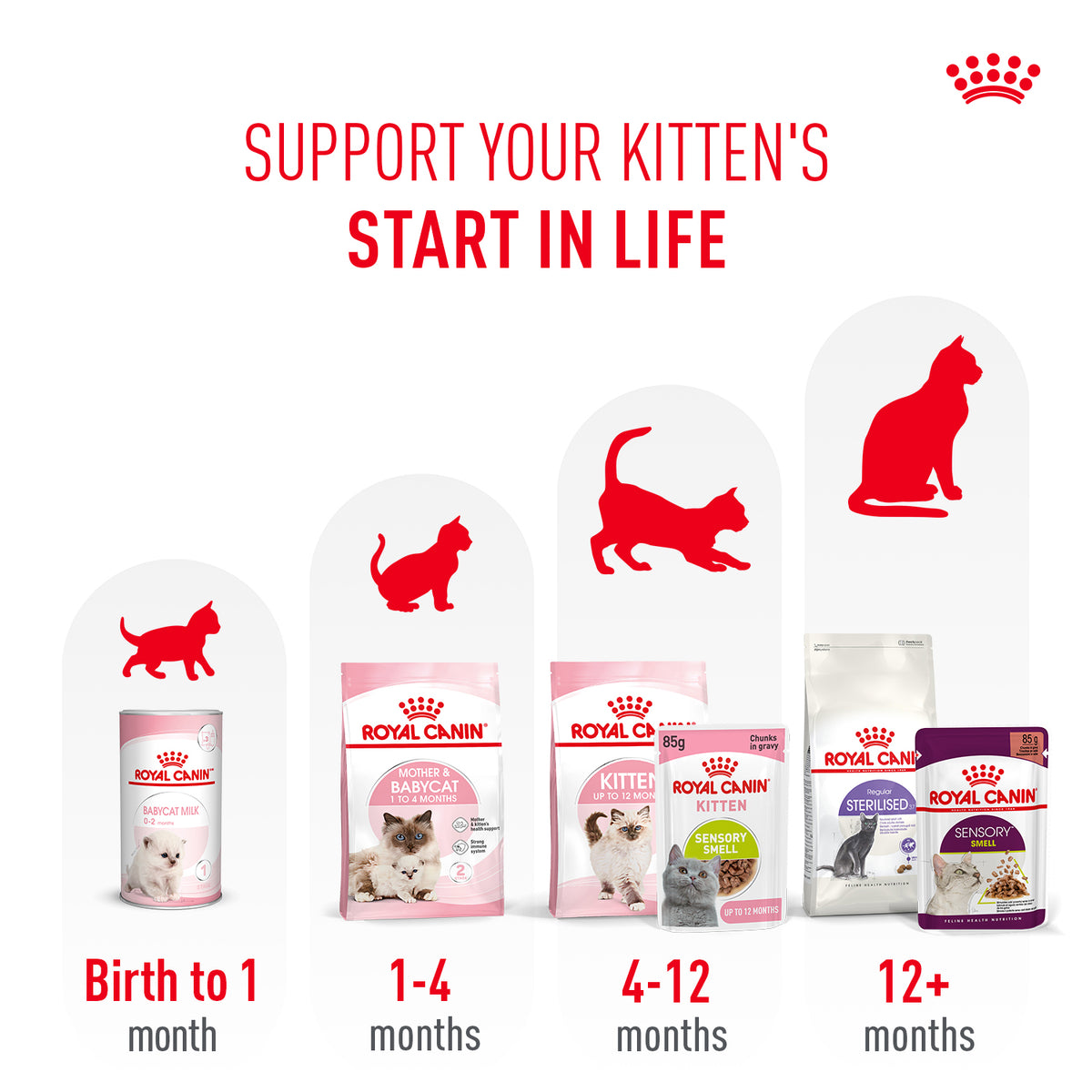 Royal Canin Sensory Kitten Smell Chunks In Gravy