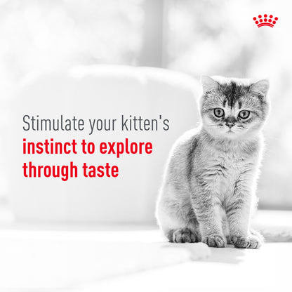 Royal Canin Sensory Kitten Taste Chunks In Gravy