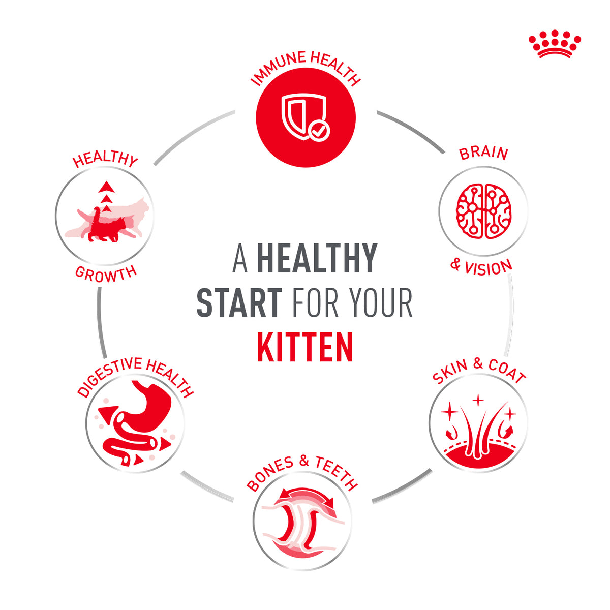 Royal Canin Sensory Kitten Taste Chunks In Gravy