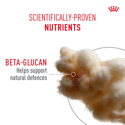 Royal Canin Sensory Kitten Taste Chunks In Gravy