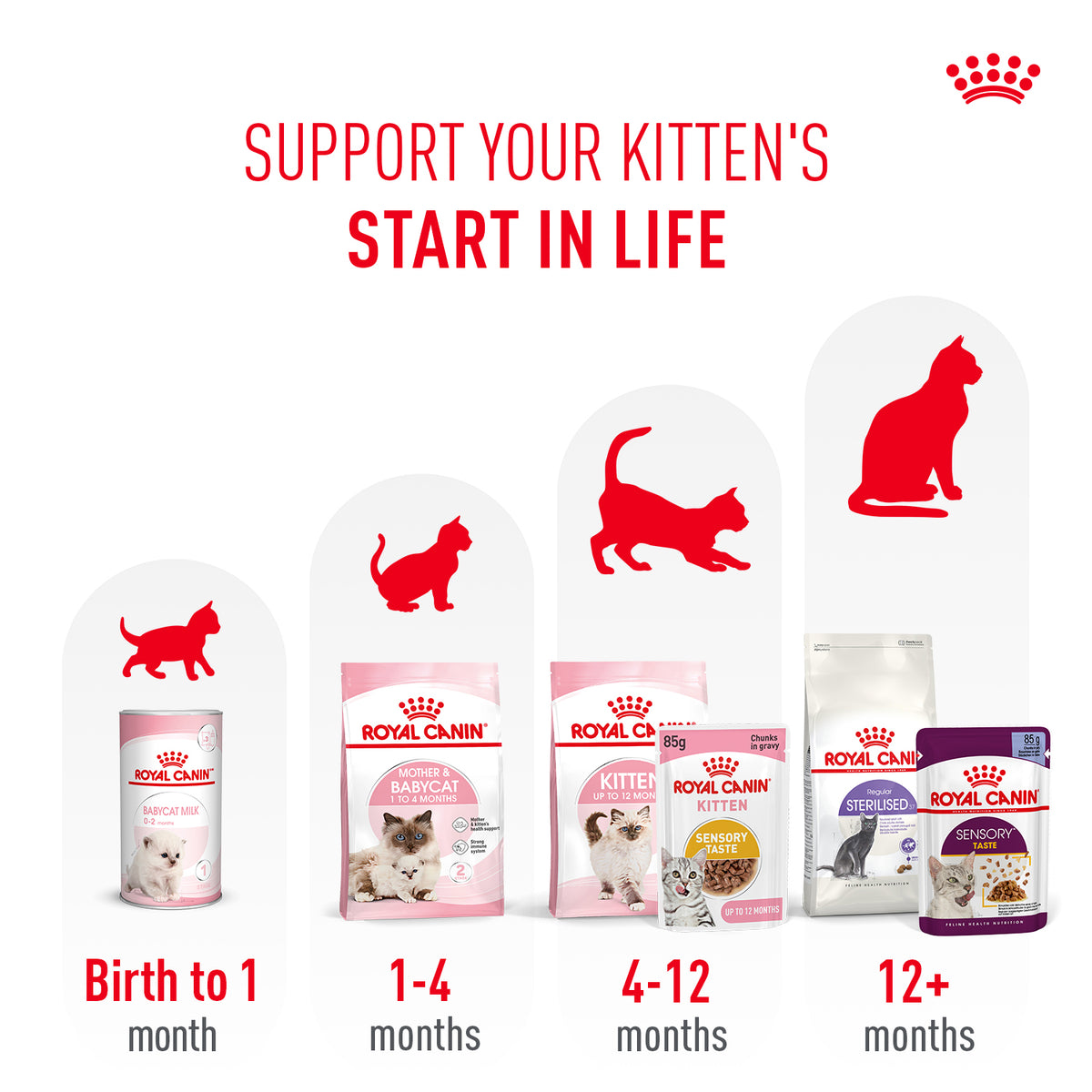 Royal Canin Sensory Kitten Taste Chunks In Gravy