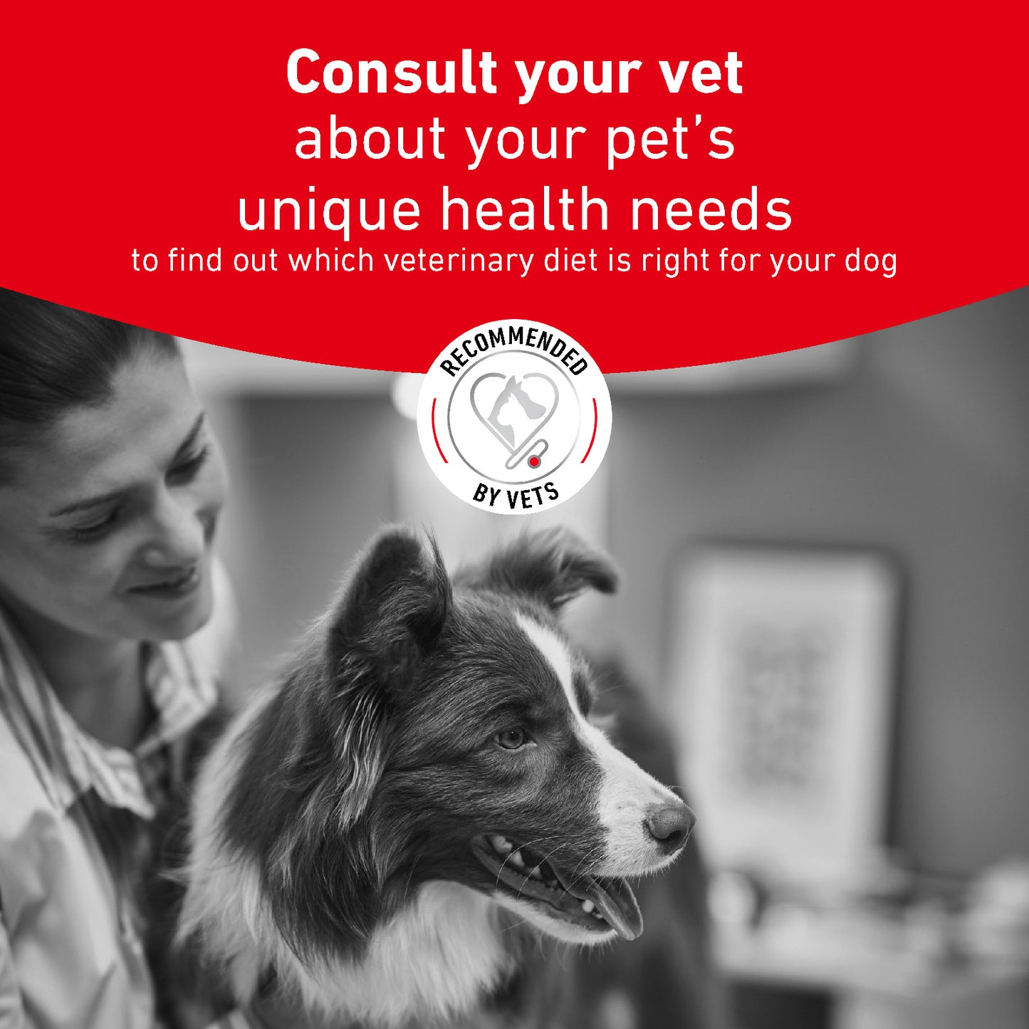 Royal Canin Glycobalance Adult Wet Dog Food