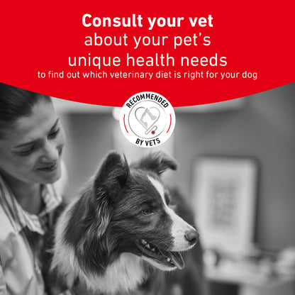 Royal Canin Glycobalance Adult Wet Dog Food