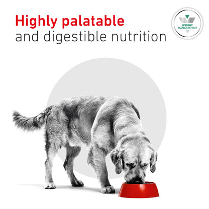 Royal Canin Glycobalance Adult Wet Dog Food