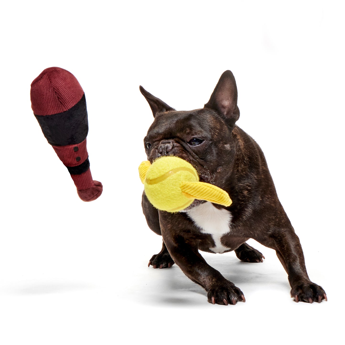 BARK X Harry Potter Quidditch Set Dog Toy